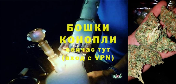 PSILOCYBIN Кукмор