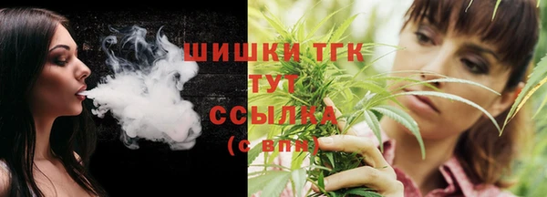 PSILOCYBIN Кукмор