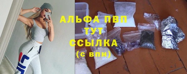 PSILOCYBIN Кукмор