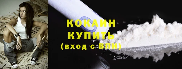PSILOCYBIN Кукмор