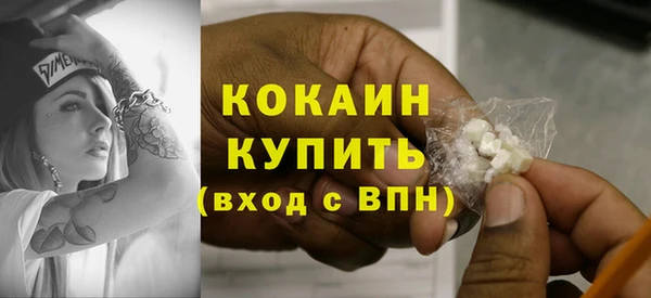 PSILOCYBIN Кукмор