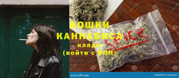 PSILOCYBIN Кукмор