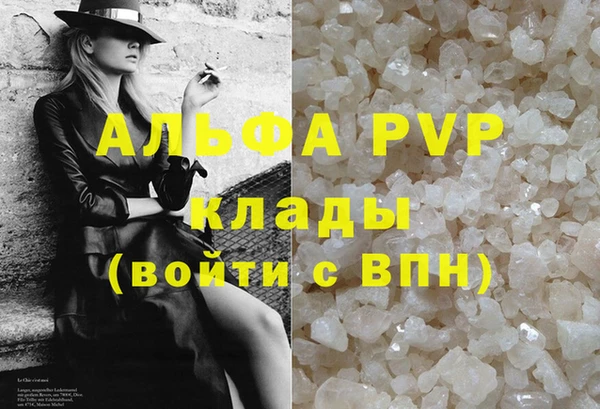 PSILOCYBIN Кукмор